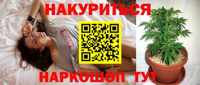 гашик Краснознаменск