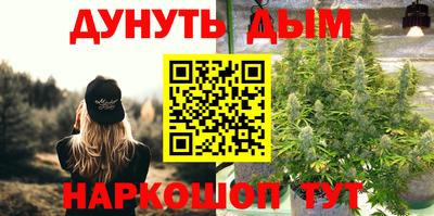 гашик Краснознаменск
