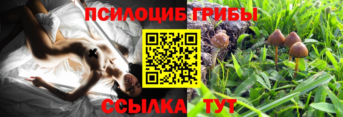 Галлюциногенные грибы GOLDEN TEACHER  Псилоцибиновые грибы MAGIC MUSHROOMS  Карталы  Вход с VPN 